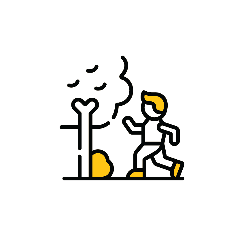 Icon 9